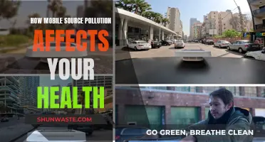 Mobile Source Pollution: Your Health at Risk