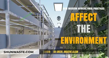 Modern Farming's Environmental Impact: Challenges and Sustainable Solutions