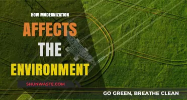 Modernization's Impact: Balancing Progress and Environmental Sustainability