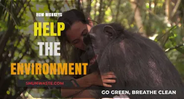 Monkeys' Vital Role in Maintaining and Protecting Our Ecosystem's Health
