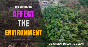 Monoculture's Environmental Impact: Biodiversity Loss and Ecosystem Disruption Explained