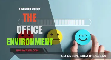 Mood Matters: How Emotions Shape Workplace Dynamics and Productivity