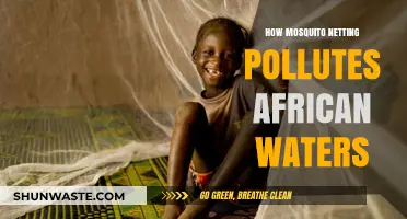 Mosquito Netting: African Waters' Unseen Polluters
