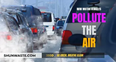 Motor Vehicles: Air Polluters on the Road