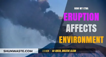 Mount Etna's Eruption: Environmental Impacts and Ecosystem Changes Explored