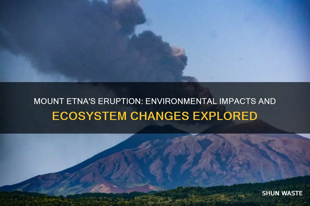 how mt etna eruption affects environment