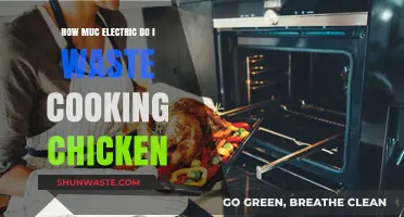 Energy-Efficient Cooking: Reducing Electricity Waste When Preparing Chicken