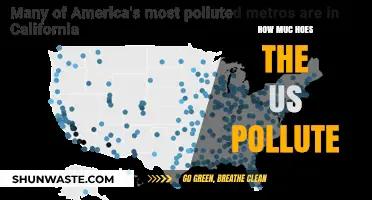 US Pollution: The Devastating Impact and Cost