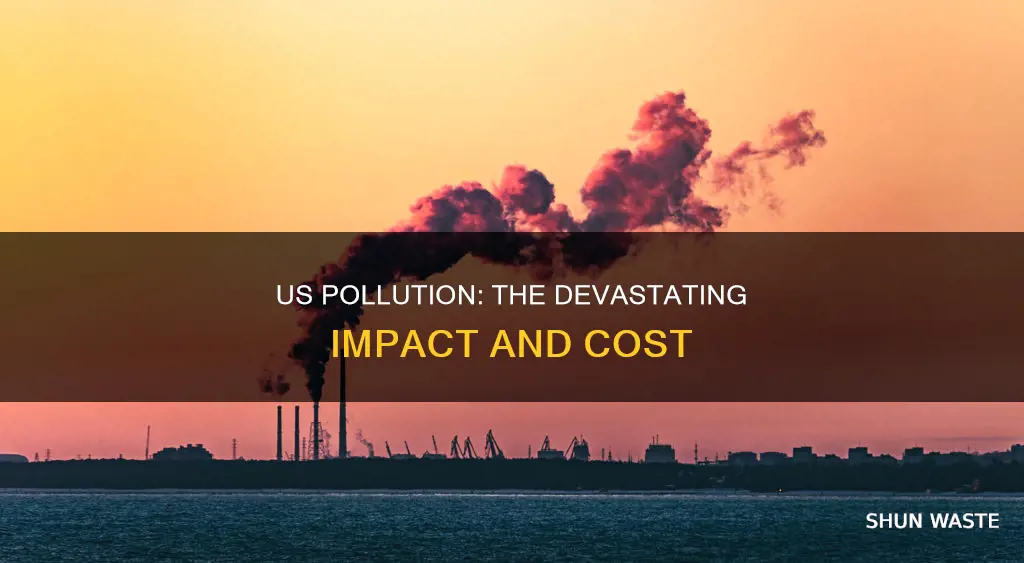how muc hoes the us pollute