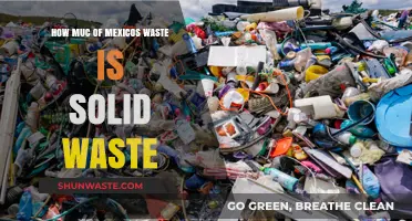 Understanding Mexico's Solid Waste: A Comprehensive Breakdown of National Disposal