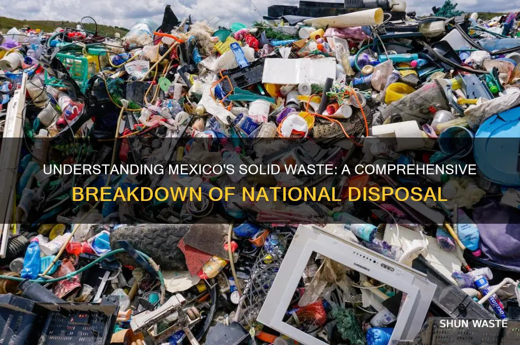 how muc of mexicos waste is solid waste