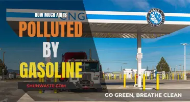 Gasoline's Impact: Air Pollution and Its Environmental Cost