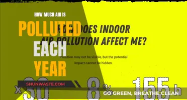 Air Pollution's Annual Damage: A Sobering Reality Check