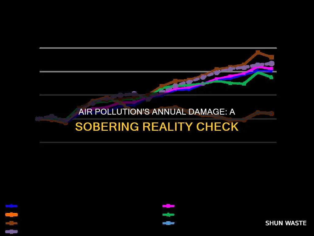 how much air is polluted each year