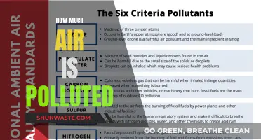 Air Pollution: How Much Is Too Much?