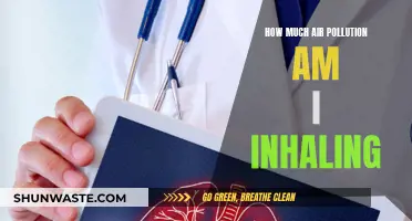 Air Pollution Inhalation: Understanding Your Exposure and Risk