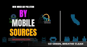 Air Pollution by Mobile Sources: How Much is Too Much?