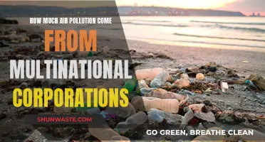 Air Pollution's Corporate Culprits: Multinationals' Dark Secret