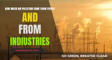 Air Pollution: People vs Industries