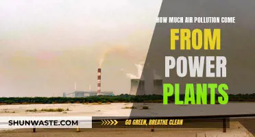 Air Pollution's Power Plant Problem: How Much is Too Much?