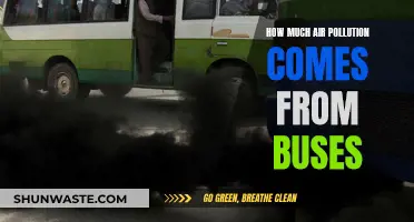 Air Pollution and Buses: What's the Connection?