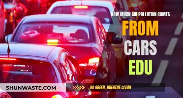 Cars' Air Pollution Impact: Understanding the Education Angle