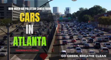 Air Pollution in Atlanta: Cars' Impact