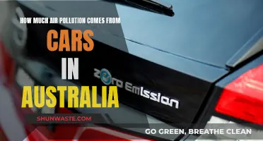 Cars' Air Pollution in Australia: What's the Damage?