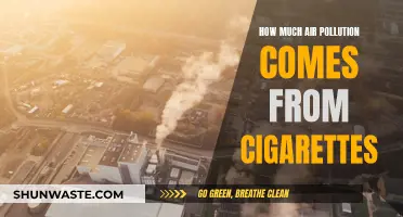 Cigarettes: A Major Contributor to Air Pollution