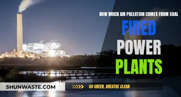 Air Pollution's Coal-Fired Power Plant Sources Explored