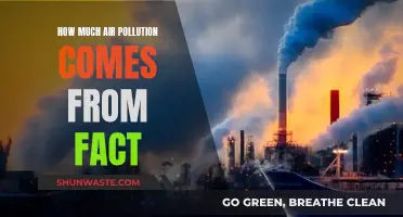 Air Pollution's Factory Origins: Uncovering the Truth