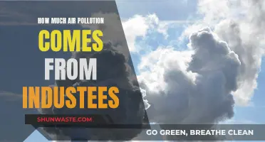 Air Pollution's Industrial Sources: Understanding the Impact