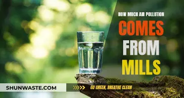 Air Pollution's Mill Sources: Understanding the Impact