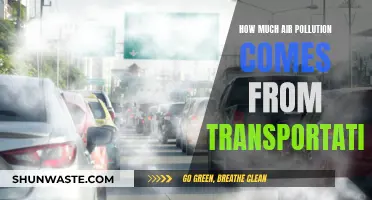 Transportation's Air Pollution: A Major Concern?