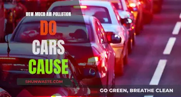 Cars' Impact: Air Pollution and Health Hazards
