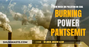 Air Pollution from Coal Power Plants: How Much?