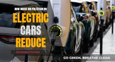 Electric Cars: Reducing Air Pollution, How Much?