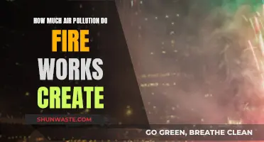 Fireworks' Air Pollution: A Nightly Concern?