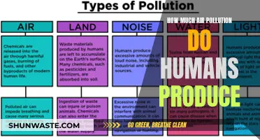 Human-Caused Air Pollution: What's Our Impact?