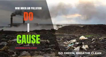 Uncover Your Impact: How Much Air Pollution Do You Cause?