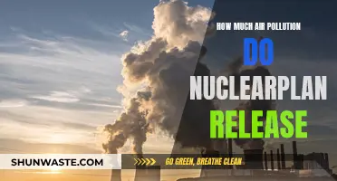 Air Pollution From Nuclear Plants: How Much is Too Much?