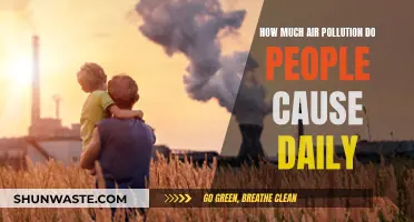 Unveiling Daily Air Pollution: A Collective Human Impact