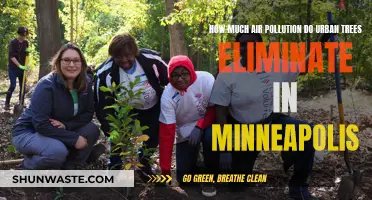 Trees' Impact on Minneapolis Air Pollution