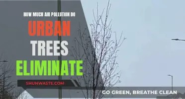 Trees: Reducing Urban Air Pollution, But by How Much?