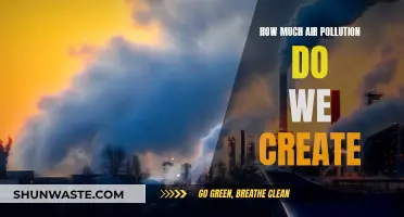 Air Pollution: Our Impact and Responsibility