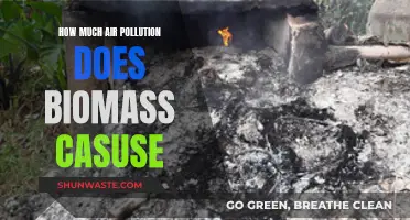 Biomass Energy: Air Pollution and Its Impact