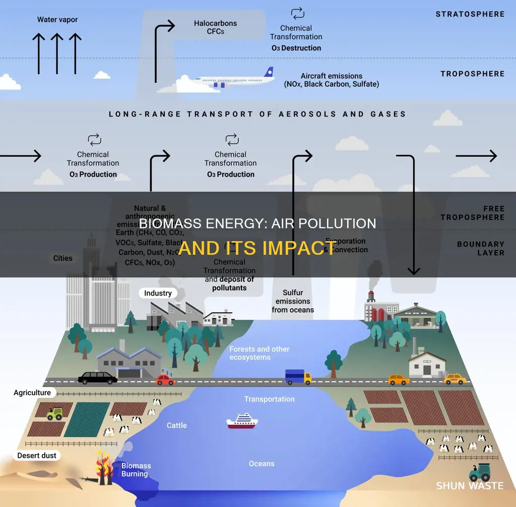 how much air pollution does biomass casuse
