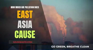 East Asia's Air Pollution Impact: A Regional Overview