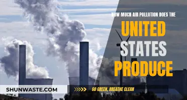 Air Pollution in the US: Production and Impact