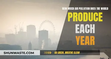 Air Pollution: Global Emissions and Their Impact